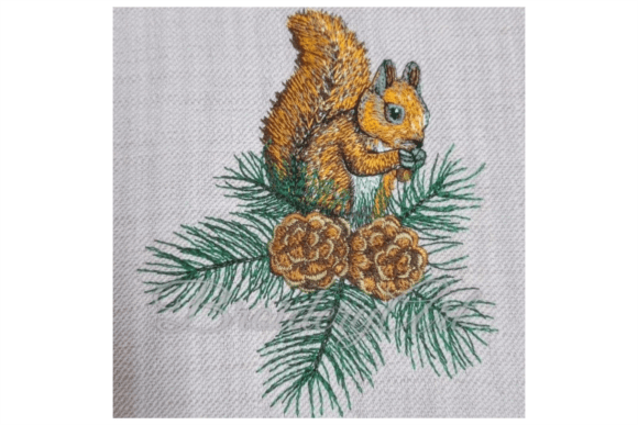 Cones Twigs and a Squirrel: A Pro Review