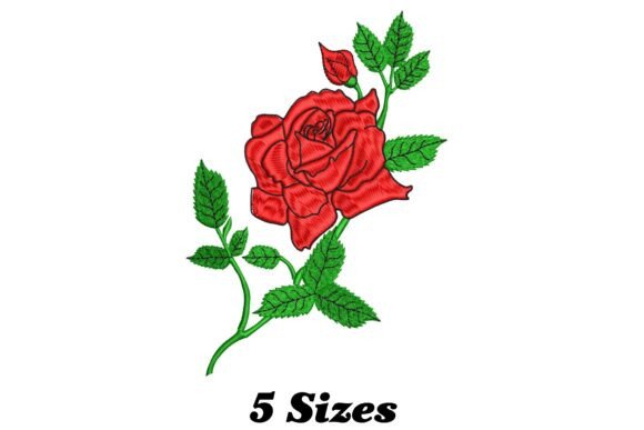 Rose Beauty Review: Elevating Boutique Sweatshirts